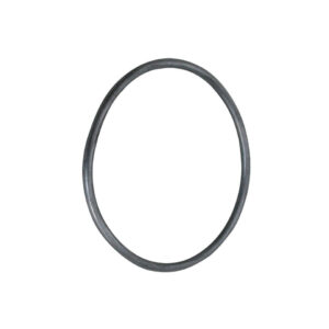 O  Ring Schwungrad