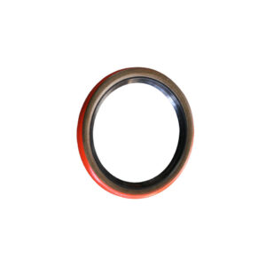 Wellendichtring Riemenscheibe Sand Seal